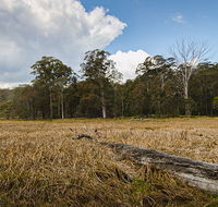 Mummel Gulf National Park - Tourism Canberra