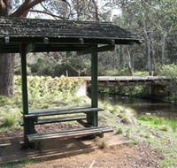Barrington Tops State Forest - Tourism Canberra
