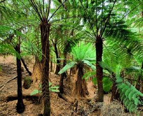 Naracoopa TAS Tourism Canberra