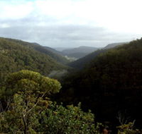 Nattai Gorge Lookout - Tourism Canberra