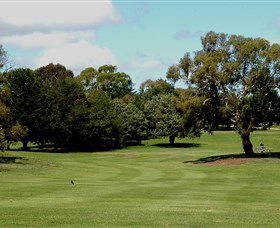 Cooma Golf Club - Tourism Canberra 1