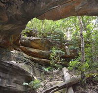 Cave Creek Walking Track - Tourism Canberra