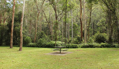 Mill Creek Picnic Area - Tourism Canberra 1