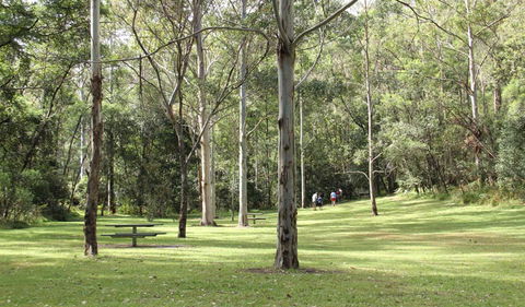Mill Creek Picnic Area - Tourism Canberra 3