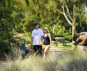 Sale Common Wetlands Walk - Tourism Canberra 0