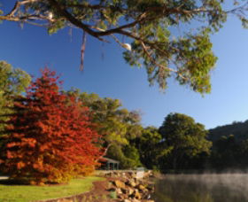 Lake Alexandra Reserve - Tourism Canberra 1