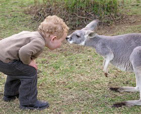 Hunter Valley Zoo - Tourism Canberra 3