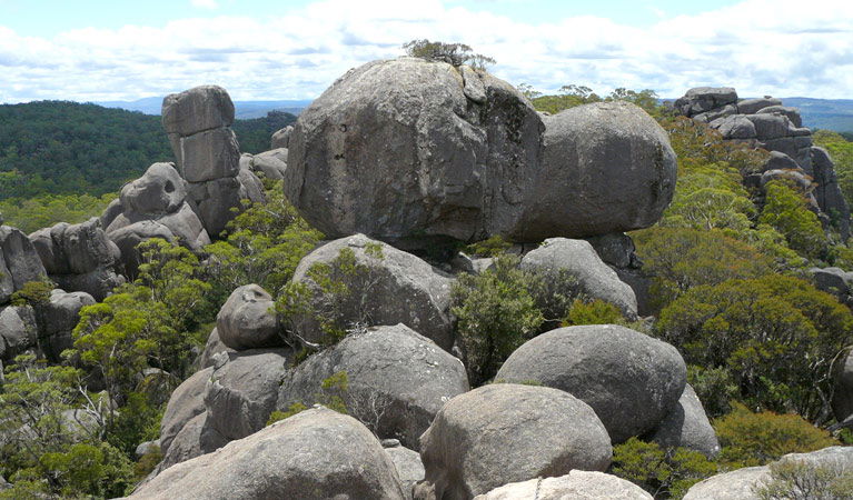 Bostobrick NSW Tourism Canberra