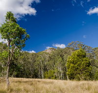 Brush Turkey track - Tourism Canberra