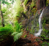 Fairy Bower Falls - Tourism Canberra
