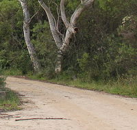 Riverview walking track - Tourism Canberra