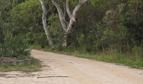 Riverview Walking Track - Tourism Canberra 0