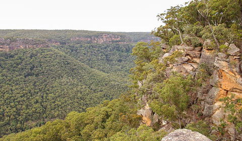 Riverview Walking Track - Tourism Canberra 2