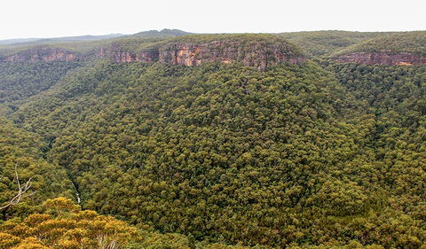 Riverview Walking Track - Tourism Canberra 3