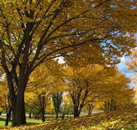 Centennial Park at Cooma - Tourism Canberra