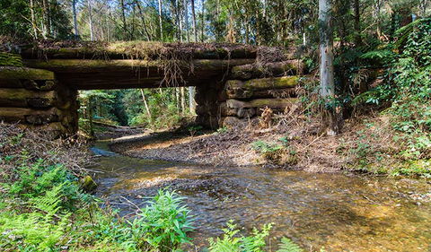 Myrtle Scrub Scenic Drive - Tourism Canberra 0