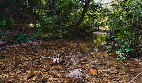 Myrtle Scrub Scenic Drive - Tourism Canberra 2