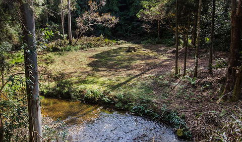 Myrtle Scrub Scenic Drive - Tourism Canberra 3