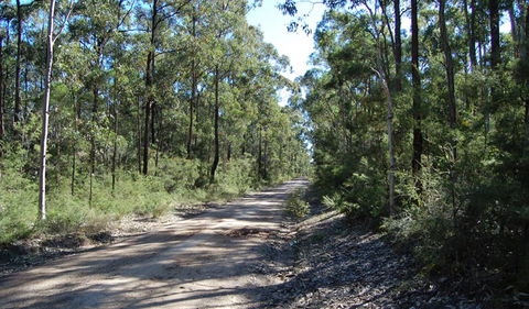Werakata National Park - Tourism Canberra 2