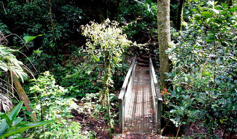 Richmond Range National Park - Tourism Canberra 0