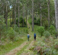 The Green Gully track - Tourism Canberra