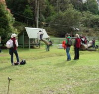 Forest of Tranquillity - Australian Rainforest Sanctuary - Tourism Canberra