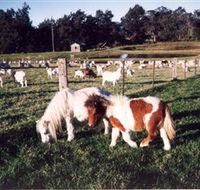 Trudgalong Farm - Tourism Canberra