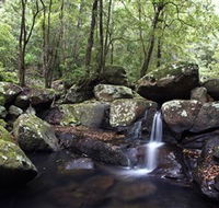 Kangaroo River - Tourism Canberra