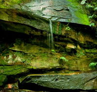 Strickland State Forest - Tourism Canberra