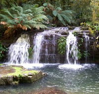 Barrington Tops National Park Walks - Tourism Canberra