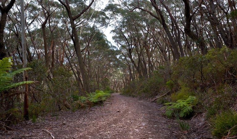 Yadboro NSW Tourism Canberra