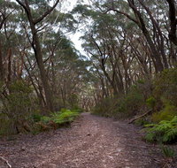 Budawang National Park - Tourism Canberra