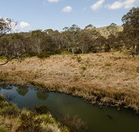 Werrikimbe National Park - Tourism Canberra