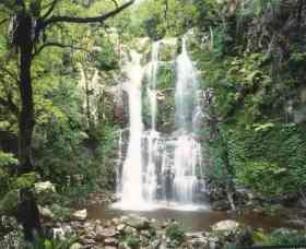 Budderoo National Park - The Falls Walk - Tourism Canberra 0