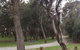 Tuggerah Lakes Cycleway - thumb 2