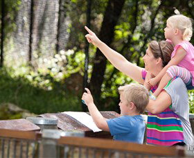 Blackbutt Reserve - Tourism Canberra 4