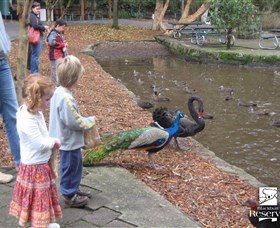 Blackbutt Reserve - Tourism Canberra 5