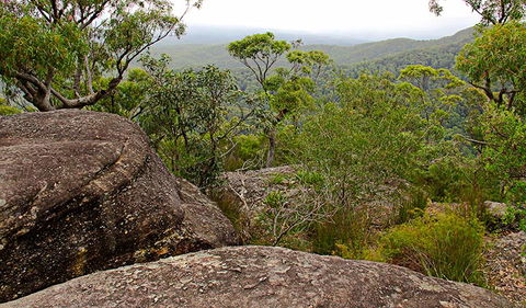 Pigeon House Mountain Didthul Walking Track - Tourism Canberra 1