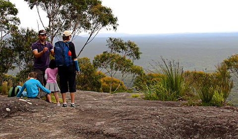 Pigeon House Mountain Didthul Walking Track - Tourism Canberra 2