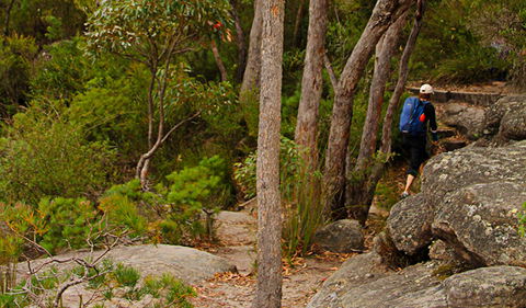 Pigeon House Mountain Didthul Walking Track - Tourism Canberra 3