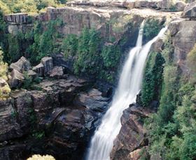 Minnamurra Rainforest Centre: Budderoo National Park - Tourism Canberra 0