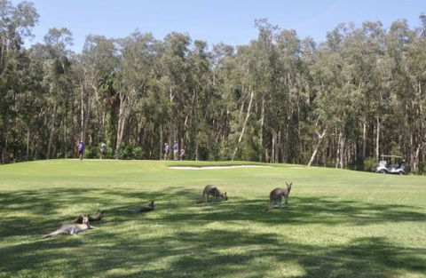 Emerald Downs Golf Course - Tourism Canberra 4
