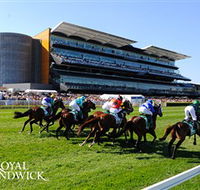 Royal Randwick Racecourse - Tourism Canberra