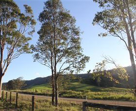 Tourist Drive 2 - Bucketts Way - Tourism Canberra 1