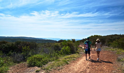 Moonee Beach Trail - Tourism Canberra 0
