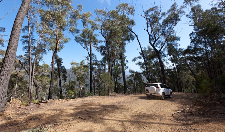 Wadbilliga NSW Tourism Canberra