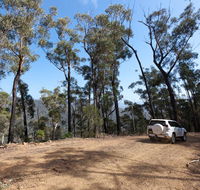 Wadbilliga Road drive - Tourism Canberra
