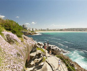 Bondi To Coogee Coastal Walk - Tourism Canberra 3