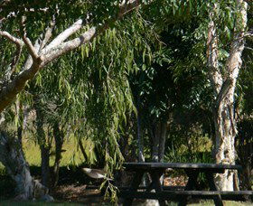 Mongogarie NSW Tourism Canberra
