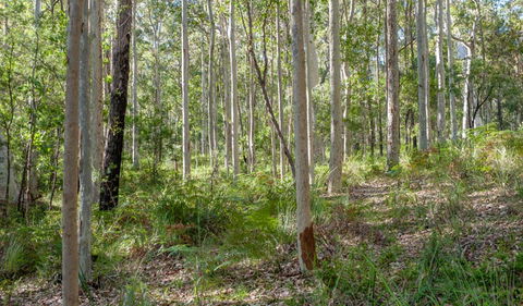 Anabranch Loop Track - Tourism Canberra 2